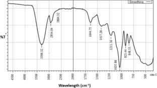 Experimental and in silico approaches to identify a sustainable source of bioplastics from seaweeds