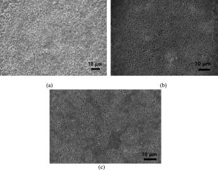 Enhanced Porosity of Cellulose Acetate Membranes: A Comparative Study of Gas Pressure and Water Pressure Processes