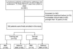Development and validation of a nomogram for predicting bone marrow involvement in lymphoma patients based on 18F-FDG PET radiomics and clinical factors