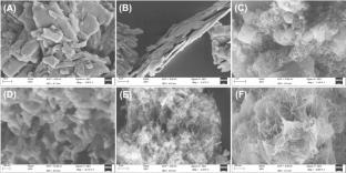 Characterization and Statistical Physics Modeling of Two Coal Hybridized Nanostructures with Two Forms of Polyaniline (Nanofibers Hydrogel and Nanorods) as Adsorbents for Toxic 4-Chlorophenol