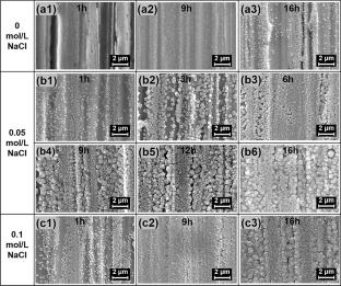 Discoloration Process of Minted Copper–Nickel Alloys in Chloride Ion-Containing Environments: Experimental and DFT Research