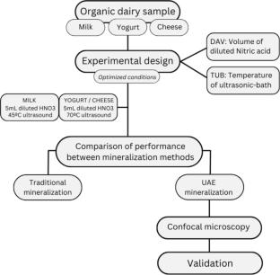 Ultrasound-Assisted Extraction for Essential Minerals in Organic Dairy Matrices and Confocal Microscopy Application