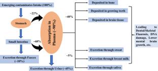 Chemisorption of Emerging Contaminants (F−, AsIII/V, Pb2+) Using MOF for Sustainable Water Treatment: A Critical Review