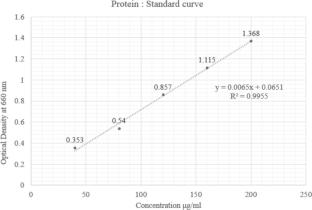 Leveraging citrus extract to enhance antioxidant properties of mung bean (Vigna radiata) protein edible films