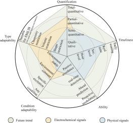 Industry-oriented roadmap for lithium plating detection from short to long term