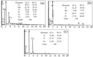 In Vitro Degradation Behavior, Cytotoxicity and Antibacterial Properties of Biomedical Mg-Cu Alloy Implant Materials with Different Coatings