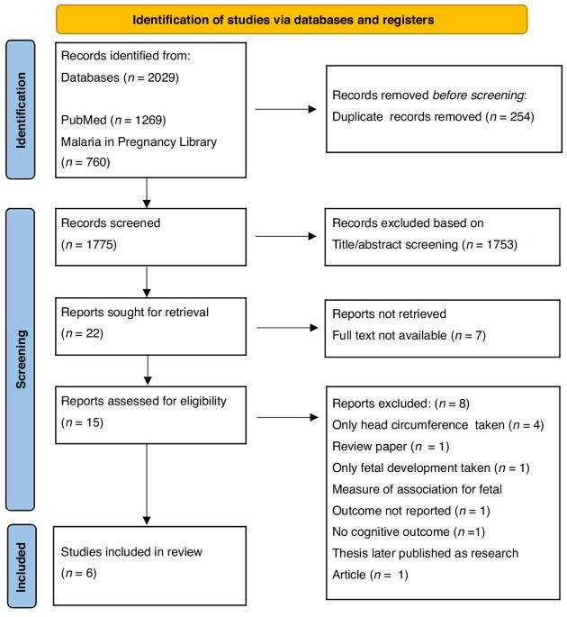 Malaria in pregnancy and its potential impact on neurodevelopment in children: a systematic review