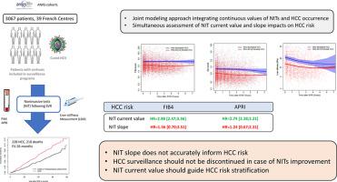 Value of non-invasive test dynamics in guiding HCC surveillance decisions after HCV cure in patients with cirrhosis