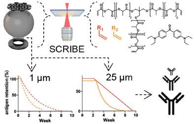 Nanoscale Biodegradable Printing for Designed Tuneability of Vaccine Delivery Kinetics