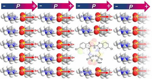 Electric Field-Driven Long-Range Order and Enhanced Polarization Switching in High-Dipole Ionic Liquids