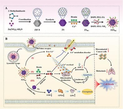 Effective Amplification of Oxidative Stress and Calcium Manipulation Mediated Mitochondrial Dysfunction Based on Engineered Nanozyme for Primary and Metastatic Breast Cancer Therapy