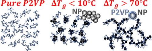 Drastic Elevation in the Glass Transition Temperature of Poly(2-vinylpyridine) by the Entanglement-Promoting Palladium Nanoparticles