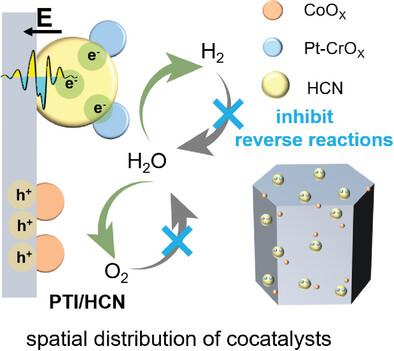 Spatially Separated Redox Cocatalysts on Poly Triazine Imides Boosting Photocatalytic Overall Water Splitting