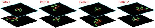 Acoustic Pseudospin Transport in Dual-Layer Topological Insulators with Multiple Topological Phases