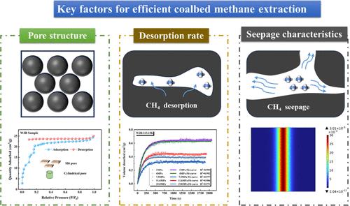 Study of Key Factors for Efficient Coalbed Methane Extraction: Pore Structure, Desorption Rate and Seepage Characteristics