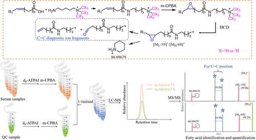 Enhancing the Accuracy of Identification and Relative Quantification of Unsaturated Fatty Acids in Serum via a Stable Isotope-Labeled Double Derivatization Strategy