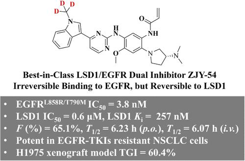 Structure-Based Design of New LSD1/EGFRL858R/T790M Dual Inhibitors for Treating EGFR Mutant NSCLC Cancers