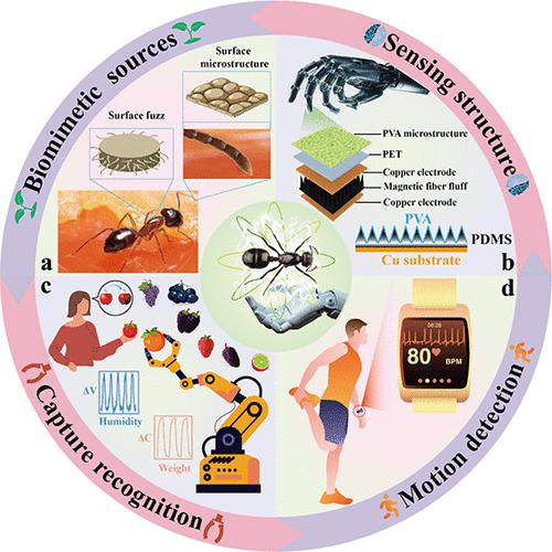 Ant-Inspired Ion Gel Sensor for Dual-Mode Detection of Force and Humidity via Magnetic Induction