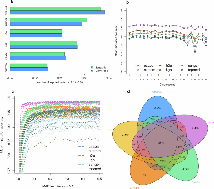 FLT1 and other candidate fetal haemoglobin modifying loci in sickle cell disease in African ancestries