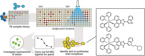 Discovery of Phototoxic Metal Complexes with Antibacterial Properties via a Combinatorial Approach