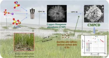 Invasive plants Spartina alterniflora-derived carbon quantum dots/copper-manganese phosphates for supercapacitor electrodes