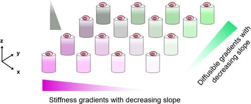 Generation of Orthogonal Gradients of the Matrix Stiffness and Chemotactic Cues in a Suspended Array of Hydrogel to Study hMSCs Migration