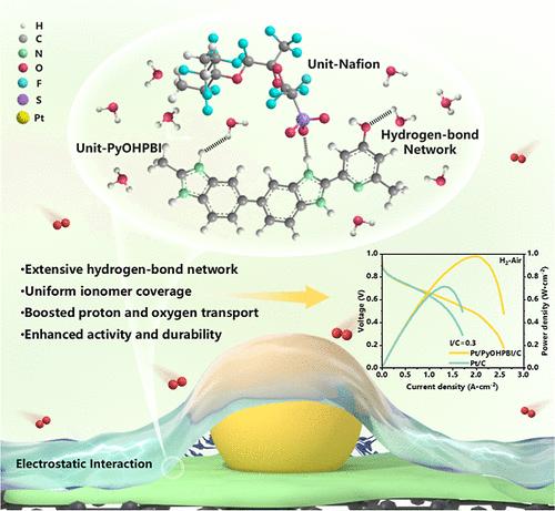 Polymer-Scaffold Induced Extensive Hydrogen-Bond Network: Enabling High Transport of Proton and Oxygen in Cathode Catalyst/Ionomer Interfaces