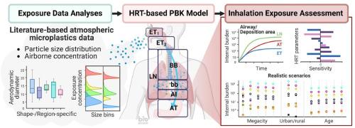 Regional and population-scale trends in human inhalation exposure to airborne microplastics: Implications for health risk assessment