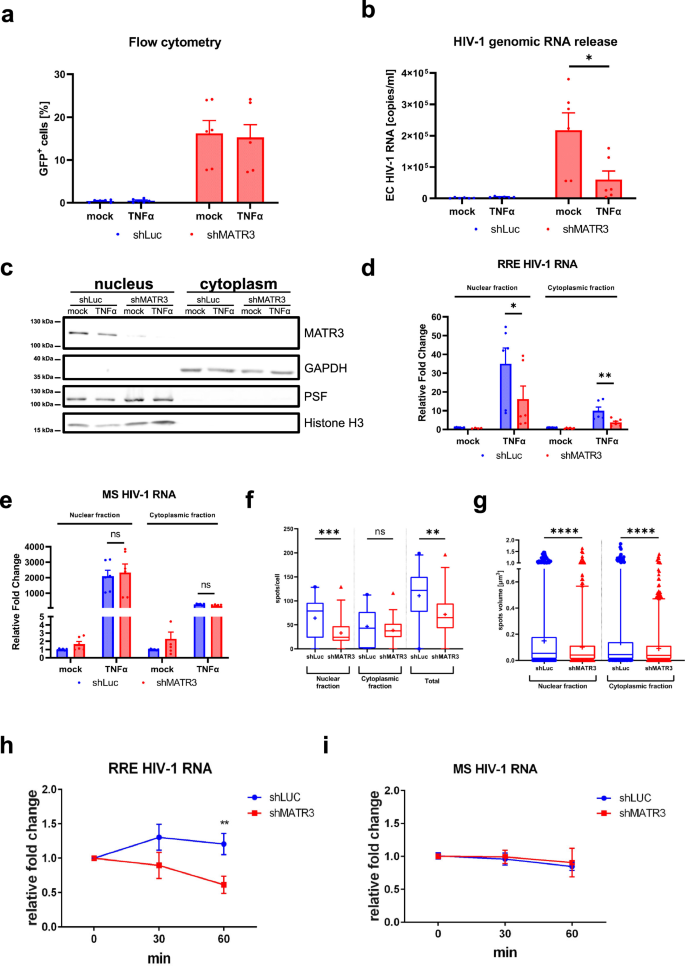 Nuclear retention of unspliced HIV-1 RNA as a reversible post-transcriptional block in latency