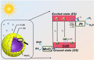 Spatially separated MnOx/Pt dual co-catalysts on CdS hollow spheres with ultrafast carrier transfer kinetics