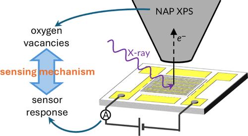 Interplay between CO and Surface Lattice Oxygen Ions in the Vacancy-Mediated Response Mechanism of SnO2-Based Gas Sensors