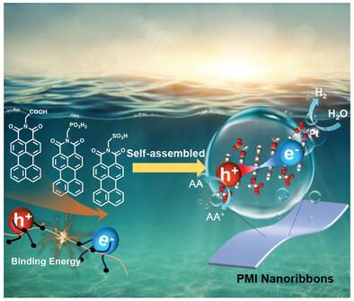 End Group-Induced Ultrafast Exciton Dissociation of Supramolecular Perylene Monoimide Nanoribbons for Efficient Photocatalytic Hydrogen Evolution
