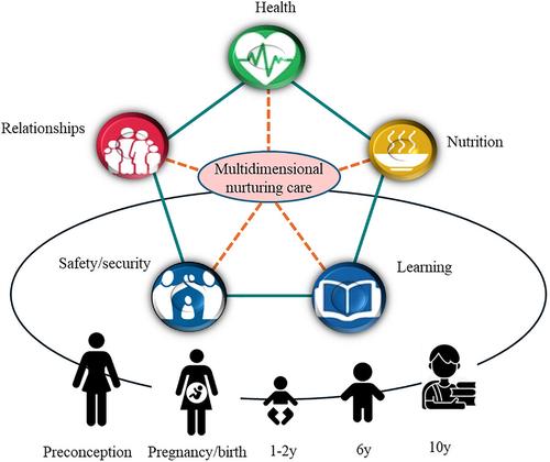 Nurturing care in the first 10 years of life: Results from a Vietnamese longitudinal study