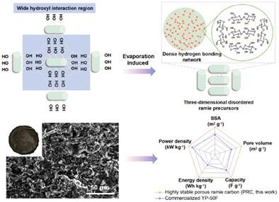 3D Molecular-Reconstructed Disordered Precursor Toward Highly Stable Porous Ramie Carbon