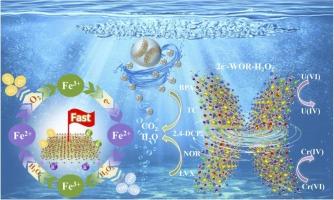 Synergistic Oxidation and Reduction of Complex Pollutants in Wastewater using a Self-cycling Piezo-photocatalytic Fenton System