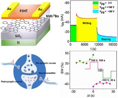 A Homochiral Neutral Organic Molecule as Active Ferroelectric for Memtransistor