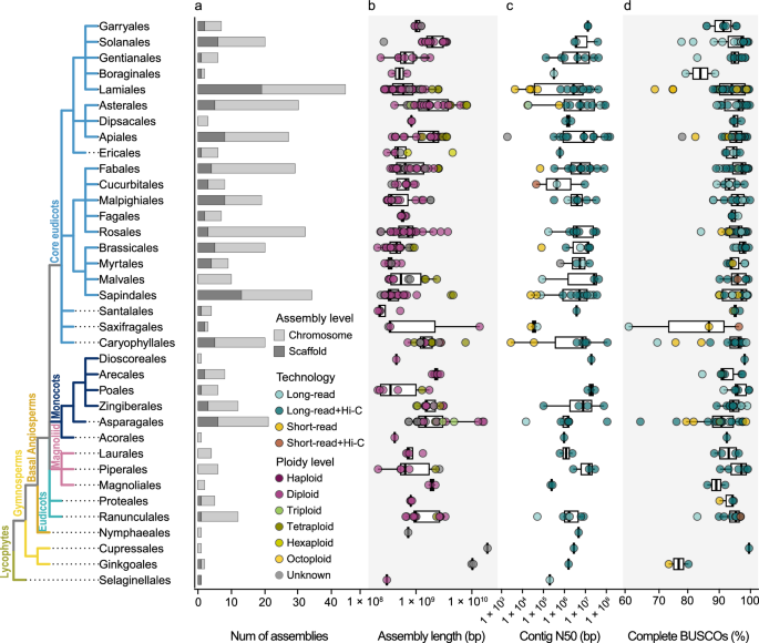 A long road ahead to reliable and complete medicinal plant genomes
