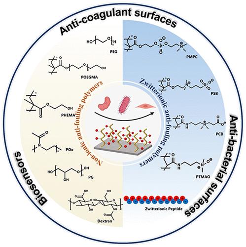 Antifouling Polymer Coatings for Bioactive Surfaces