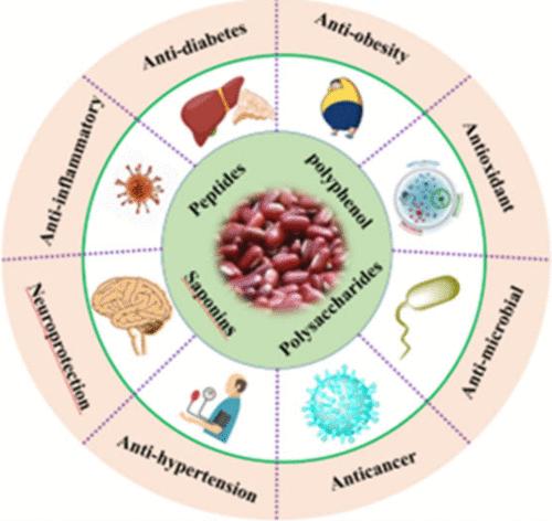 A Comprehensive Review of the Chemical Constituents and Functional Properties of Adzuki Beans (Vigna angulariz)