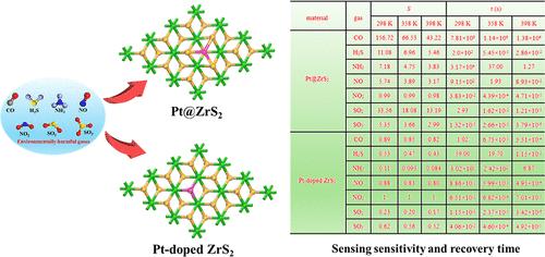 Tuning the Gas Sensing Properties of ZrS2 Monolayers via Pt Modification: Insights from DFT Simulations