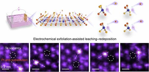 Atomically Dispersed Catalytic Platinum Anti-Substitutions in Molybdenum Ditelluride