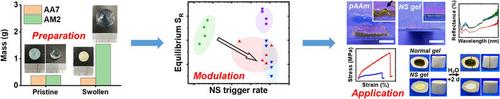 Hydration Induces Dehydration: Creating Negative Swelling Gel by a Paradox