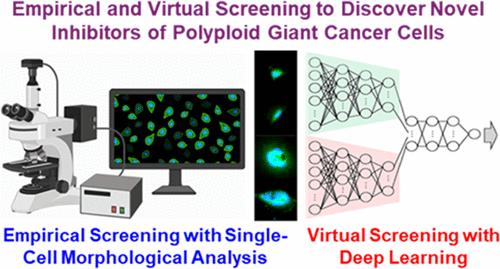 High-Throughput Empirical and Virtual Screening To Discover Novel Inhibitors of Polyploid Giant Cancer Cells in Breast Cancer