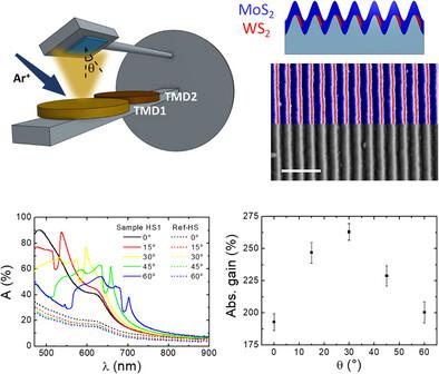 Maskless Synthesis of van der Waals Heterostructure Arrays Engineered for Light Harvesting on Large Area Templates