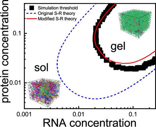 Sol–Gel Transition in Heteroassociative RNA-Protein Solutions: A Quantitative Comparison of Coarse-Grained Simulations and the Semenov–Rubinstein Theory