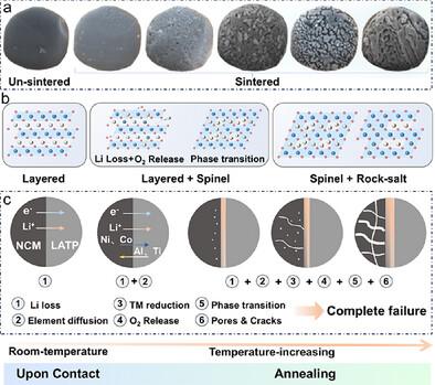 Structural Instability of NCM-LATP Composite Cathode During Co-Sintering