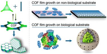 Synthesis innovations for crystallizing covalent organic framework thin films on biological and non-biological substrates
