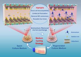 Layered sodium zirconium phosphate adsorbent for ammonia removal in cell culture media for cultivated meat application