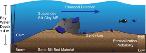 Microplastics in Bays along the Central Texas Coast