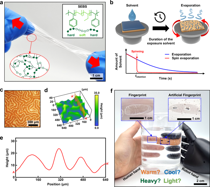 Irreproducible SEBS wrinkling based on spin evaporation enabling identifiable artificial finger pad electronics